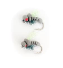 Killer Beetle Grey #4