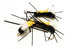 Fat Albert Negra/amarillo/blanco/guata azul/pata negra