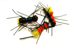 FAt Albert Negra/Rojo/Amarillo/Guata Azul/pata negra