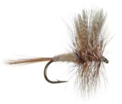 Dry March Brown