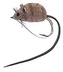 Ratón