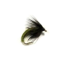 Nymph Caddis Pupa