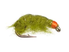 Olive Scud