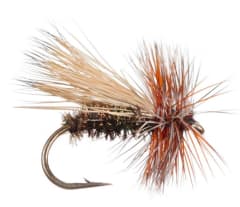 Dry Caddis Peacook Caddis