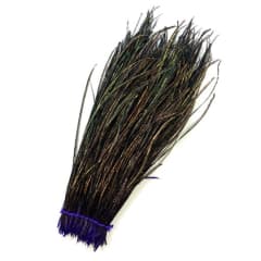Strung Peaccock Herl
