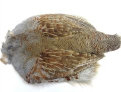 Premium Partridge Skin