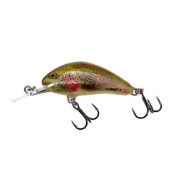 Señuelo  SALMO  Hornet Floating 040 RBT