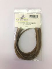 Stripped Goose Biots, Callibaetis