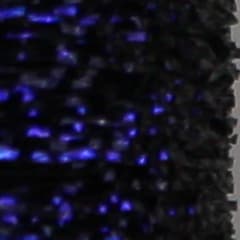 Hilo Body Fly UV 170 Den 35 mts. Black