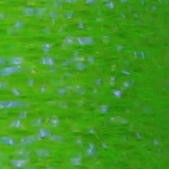 Hilo Body Fly UV 170 Den 35 mts. Chartreuse