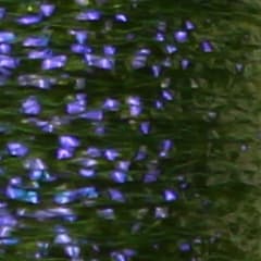 Hilo Body Fly UV 170 Den 35 mts. Olive