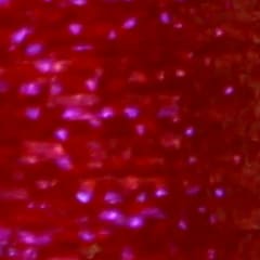 Hilo Body Fly UV 170 Den 35 mts. Red