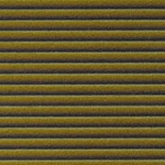 High Definition Quill 50 Strips Olive
