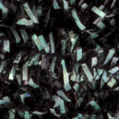 Micro Cactus Black