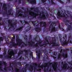 Micro Cactus Purple
