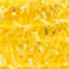 Micro Cactus Yellow