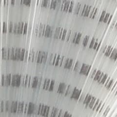 Spinner Tail Barred Light Dun