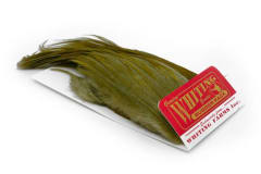 Whiting Bugger Pack Grizzly Dyed Kingfisher Blue