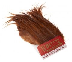 Whiting Bugger Pack White Dyed dark Olive