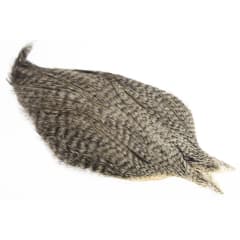 Coq de Leon Cape Grizzly Variant