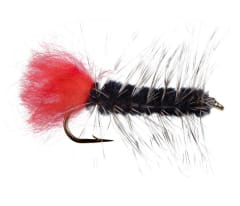 Woollyworm Black