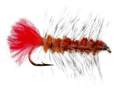 Woollyworm Brown