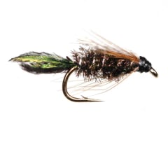 Nymph Zug Bug