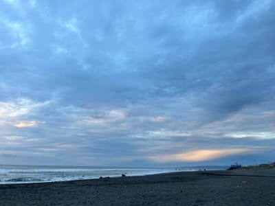 collection/elige local