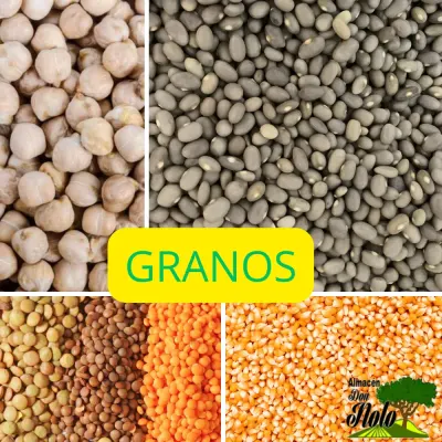 https://donnolotienda.clfrutos secos
