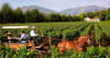 VALLES DE COLCHAGUA