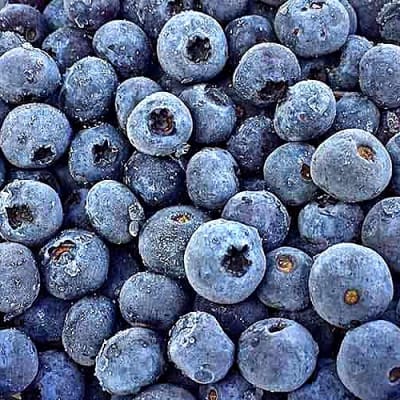 ARANDANO CONGELADO KILO