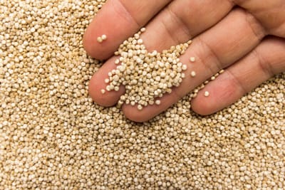 QUINOA LAVADA KG