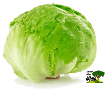 LECHUGA CAROLA
