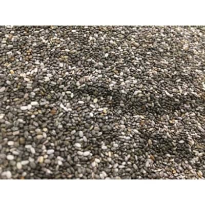 CHIA KG