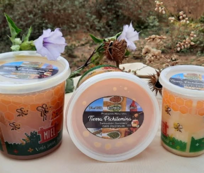 MIEL DE ABEJA 1K