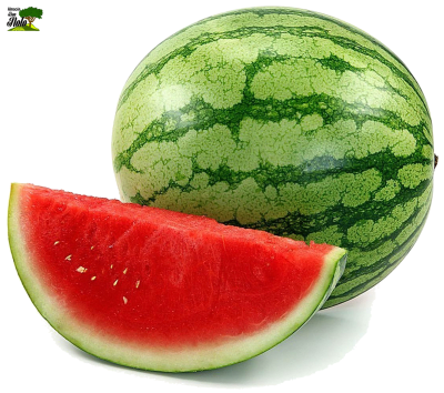 SANDIA UNIDAD
