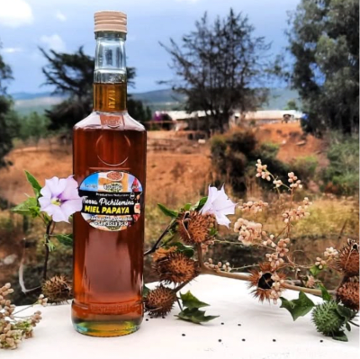 MIEL DE PAPAYA TIERRA PICHILEMINA