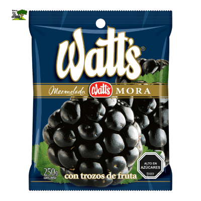 MERMELADA MORA 225GR