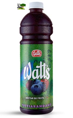 NÉCTAR TUTTIARANDANO 1.5L