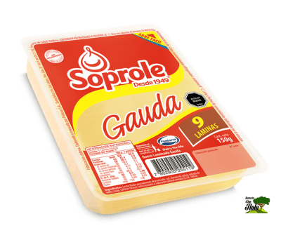QUESO GAUDA 150GR 9 LAMINAS