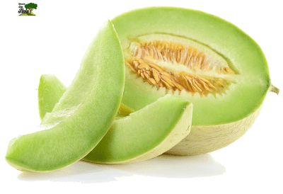 MELON TUNA UNIDAD