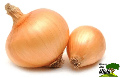 CEBOLLA KG