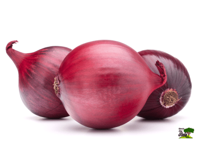 CEBOLLA MORADA KG