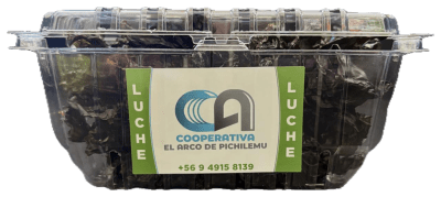 LUCHE BANDEJA COOPERATIVA EL ARCO