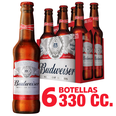 BUDWEISER PACK BOTELLIN x6