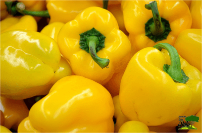 PIMENTON AMARILLO