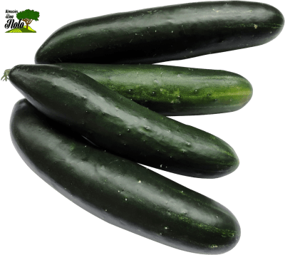 PEPINO ENSALADA UNIDAD