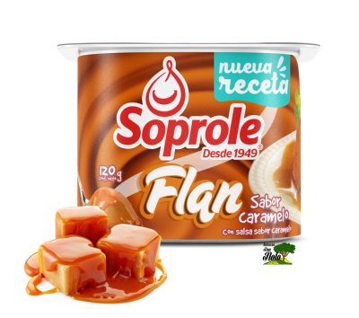FLAN CARAMELO 120GR