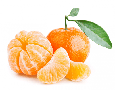MANDARINA KG