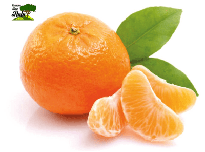 MANDARINA KG